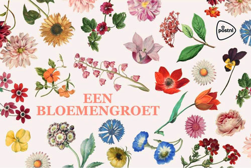 bloemengroet